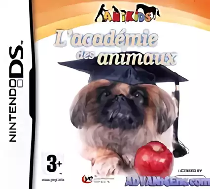 Image n° 1 - box : My Pet School